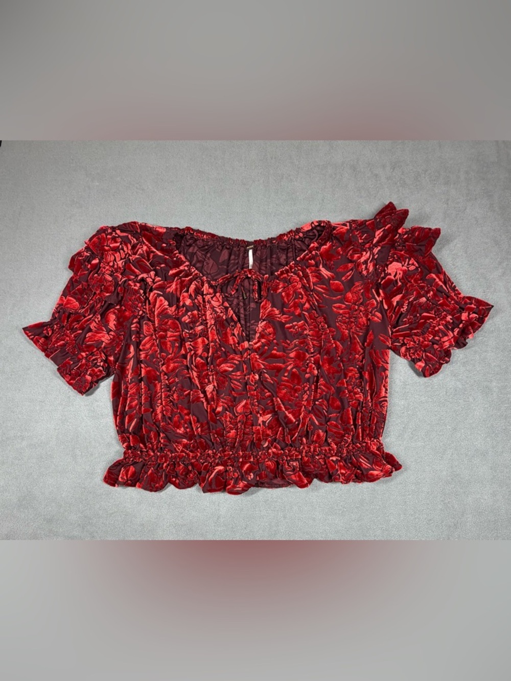 Free People Velveteen Dreams Red Floral Velvet Crop Top
